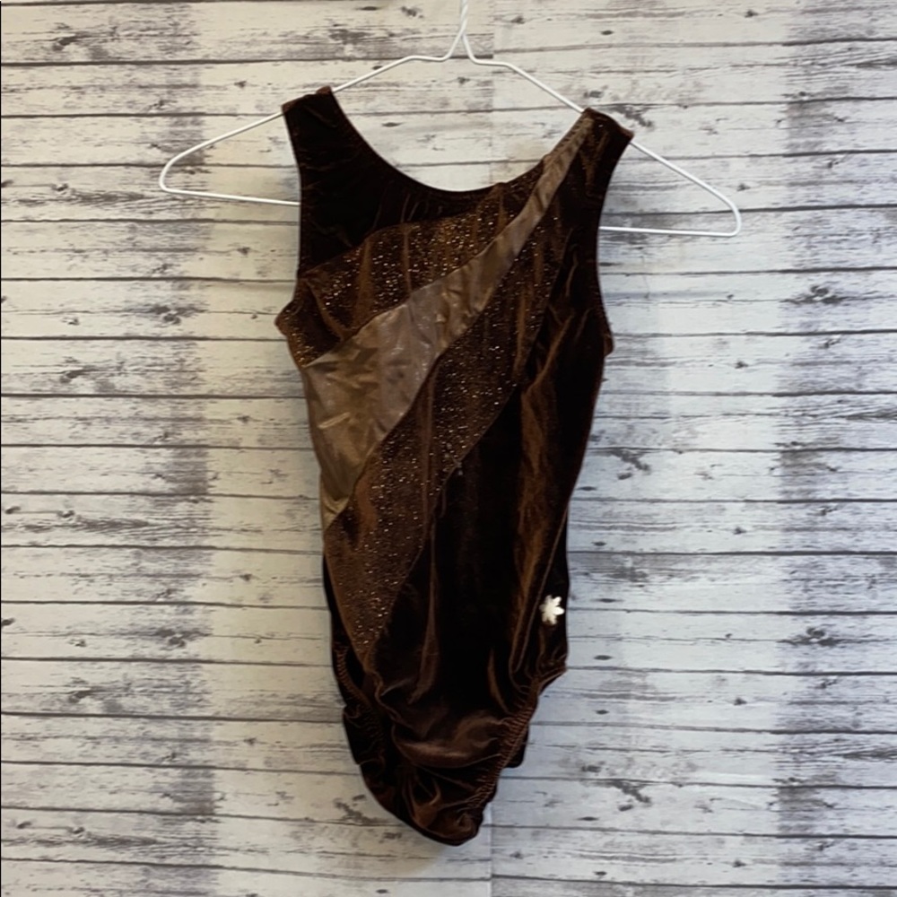 5/$25 Velour Gymnastics Leotard
